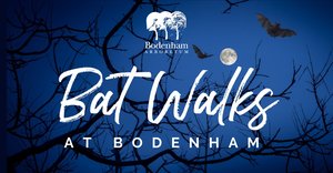 Bodenham Arboretum